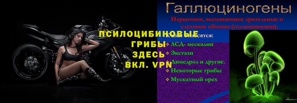 сатива Горнозаводск