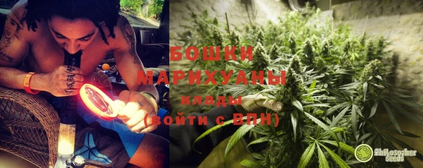сатива Горнозаводск