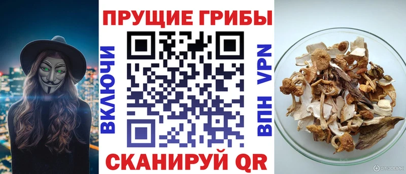 Купить где  Бирск  Галлюциногенные грибы ЛСД 